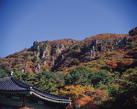 KOCIS Jeju Island (5982720813).jpg