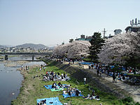 Hanami