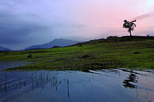 tamilnadu tourism wayanad