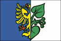 カルヴィナーの市旗