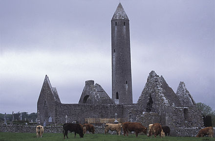 Le Saint du jour - Page 25 440px-Kilmacduagh02%28js%29