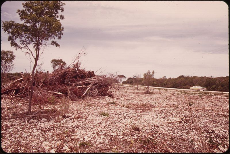 File:LAND SCRAPED FOR COMMERCIAL DEVELOPMENT AT KEY LARGO NEAR THE NORTHERN TIP OF THE FLORIDA KEYS. SCRAPING REMOVES... - NARA - 548806.jpg