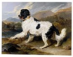 Lion: A Newfoundland Dog, 1824