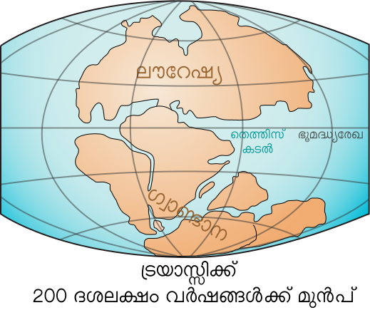 File:Laurasia-Gondwana ml.svg