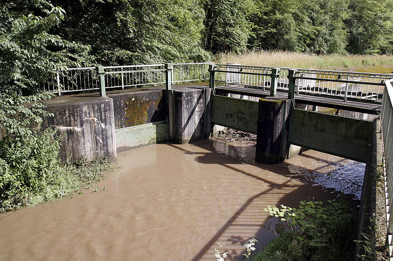 File:Lauter Odenwald 08.jpg