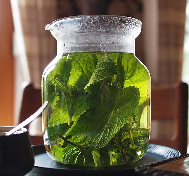 File:Lemon Balm Tea.jpg