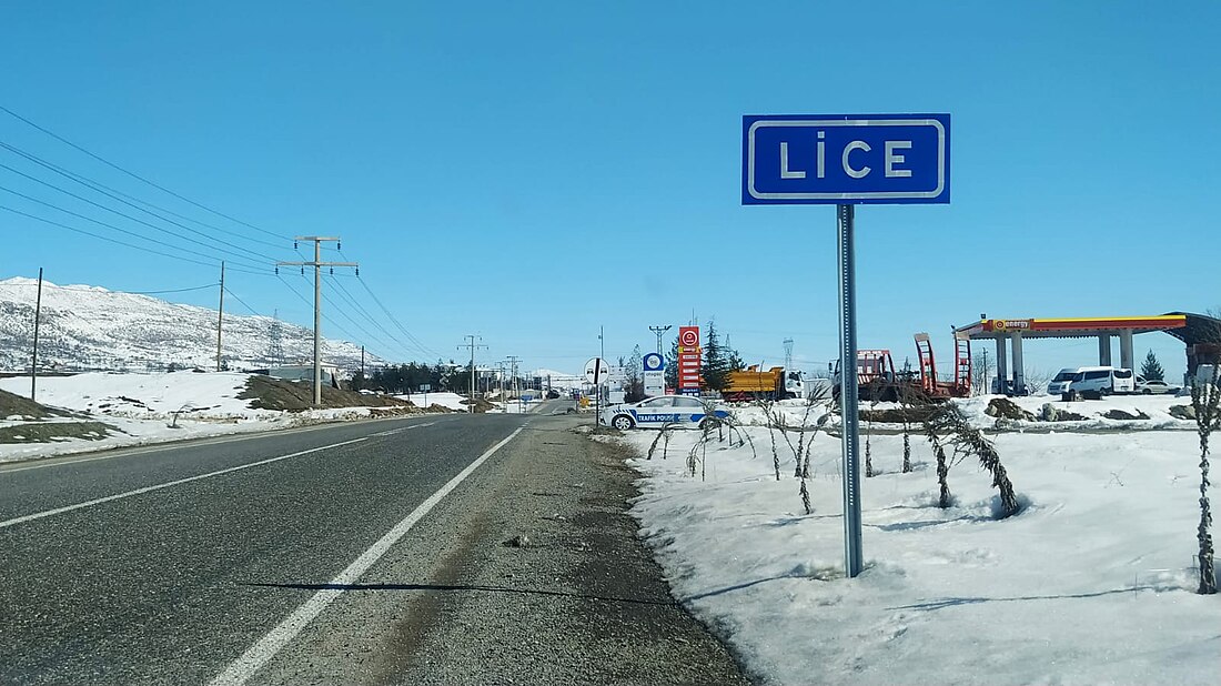 Lice