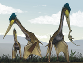 Life restoration of a flock of the Late Cretaceous pterosaur Quetzalcoatlus feeding on the ground Life restoration of a group of giant azhdarchids, Quetzalcoatlus northropi, foraging on a Cretaceous fern prairie.png