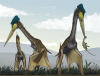Life restoration of a group of giant azhdarchids, Quetzalcoatlus northropi, foraging on a Cretaceous fern prairie.png