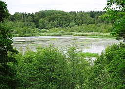 Lillsjön sedd från Vasakullen