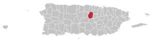 Карта Пуэрто-Рико с указанием муниципалитета Коросаль