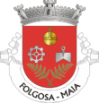 Vlag van Folgosa