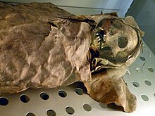 Guanche mummy of a woman (830 AD). Museo de la Naturaleza y el Hombre, Santa Cruz de Tenerife. MNH - Mumie Frau 1.jpg