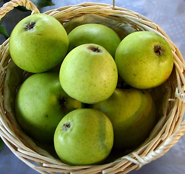 File:Malus-Von-Zuccalmaglios-Renette.jpg