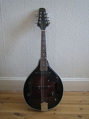 Mandolin.JPG