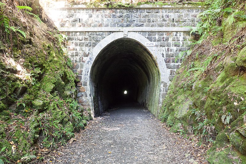 File:Mangaroa Tunnel.jpg