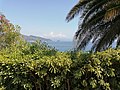 Mar Ligure, isola di Bergeggi e costa di Ponente verso Genova visti dalla SS1 Via Aurelia - Noli.jpg
