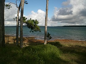 Illustrasjonsbilde av artikkelen Mare aux Vacoas