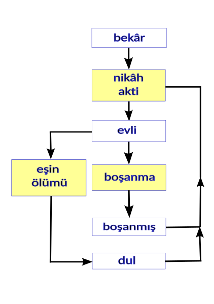 File:Marital statuses according to Western law TR.svg