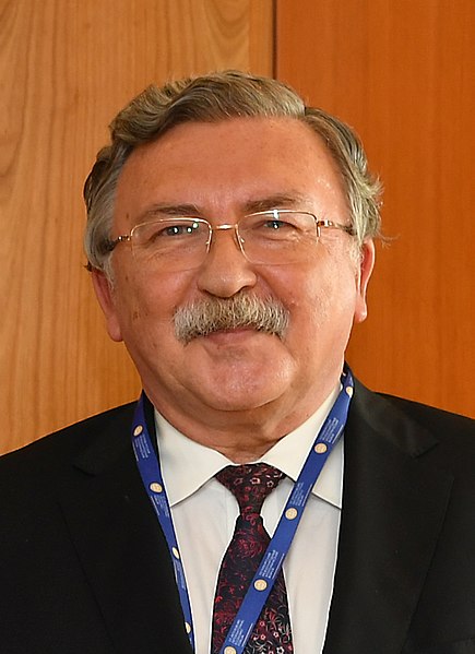 File:Meeting with Sergei Ryabkov (01911408) (cropped).jpg