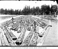 Men working on log boom, ca 1903 (INDOCC 648).jpg