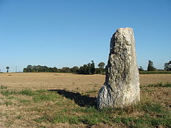 Illustratives Bild des Artikels La Roche Carrée