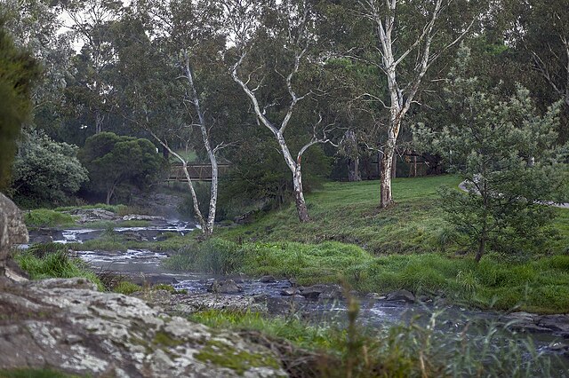 Merri Creek at Coburg Lake Reserve in April 2021