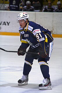 Mika Hannula Swedish ice hockey player