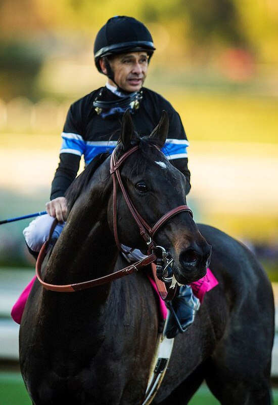 Shared Belief with Mike E. Smith in 2014