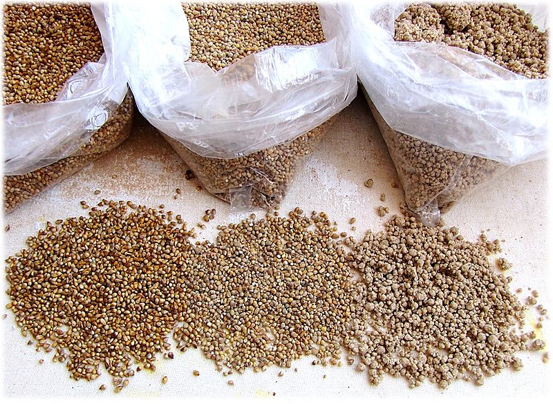 File:Millet grains, unmilled, milled, pellets.jpg