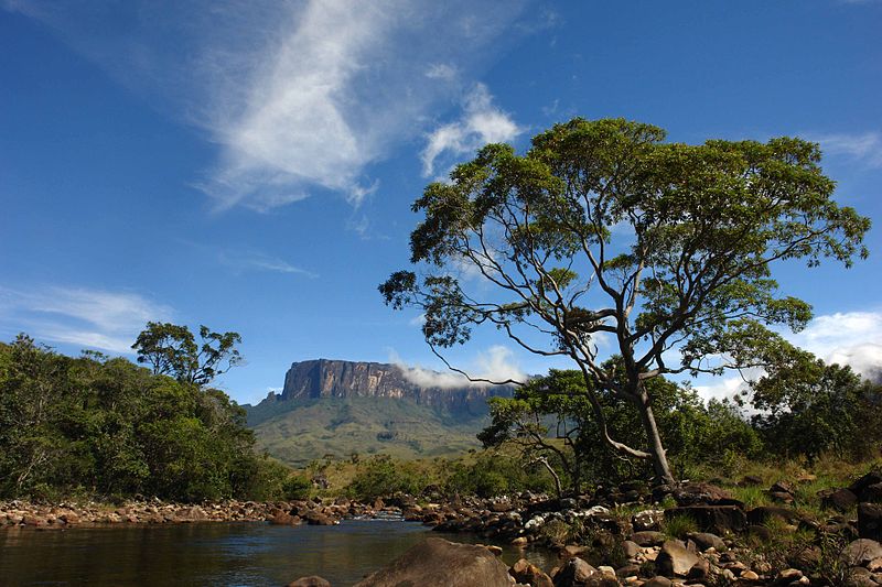 File:Monte Roraima, Roraima 2.JPG