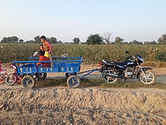 Bike-trolley, a jugaad trailer for motorcycles.