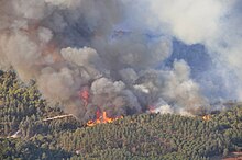 Incendio forestal del Monte Carmelo14.jpg