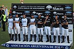 Miniatura para Ellerstina