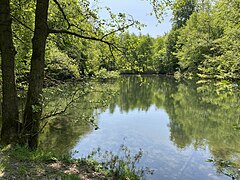 Oberer Stauteich im Herbringhauser Bachtal