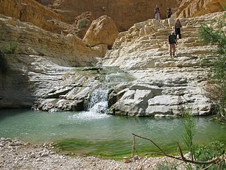 Nachal Arugot in May 2006