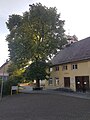 image=https://commons.wikimedia.org/wiki/File:Naturdenkmal_bei_Feuerwehrhaus_in_Heudorf_im_Hegau.jpg