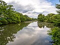 * Nomination Regnitz oxbow lake in the Büg nature reserve near Eggolsheim --Ermell 04:17, 29 June 2024 (UTC) * Promotion  Support Good quality.--Tournasol7 04:33, 29 June 2024 (UTC)