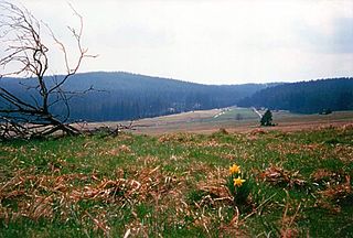 Rolava river in the Czech Republic