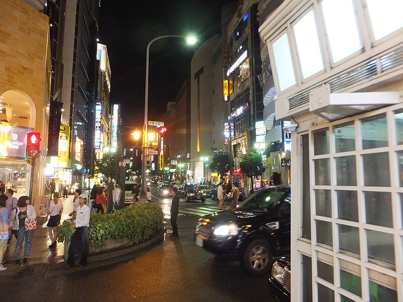 File:Night in Sannomiya, Kobe field No,1 in 2013-6-19.JPG