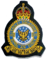 133 Eagle Squadron crest