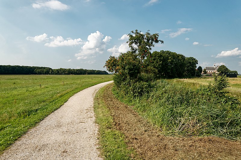 File:Noordoostpolder - Schokland - Ruïnepad - View NNW II.jpg