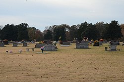 Oak Grove Cemetery, Des Arc, AR.jpg