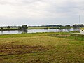 View from the ferry terminal Gozdowice (PL) on the Oder River to the ferry terminal Güstebieser Loose (D)