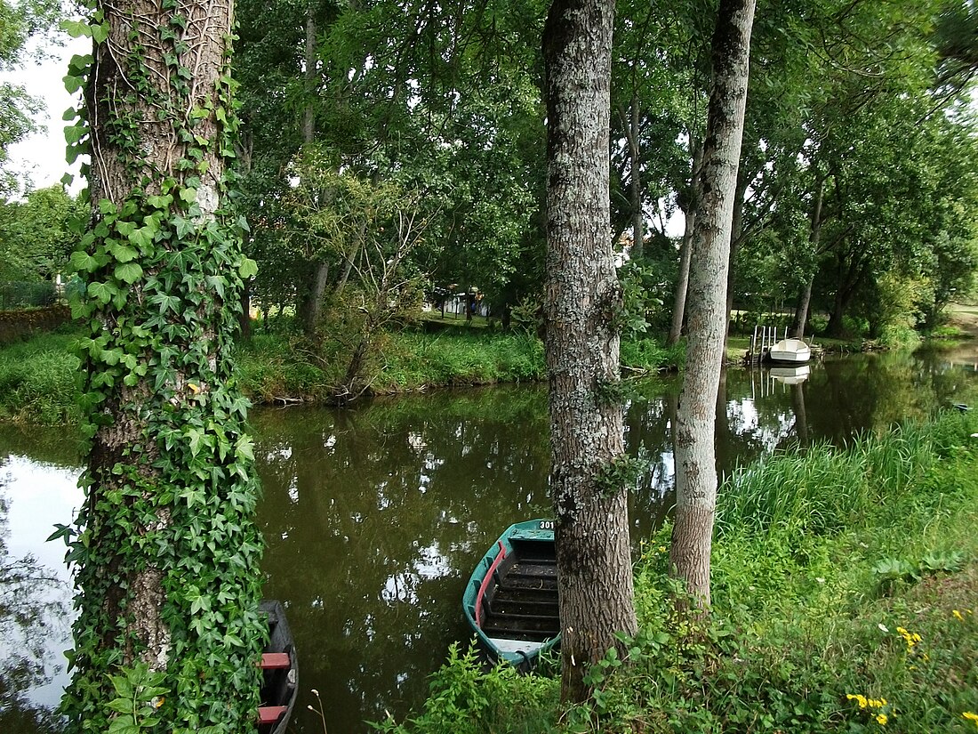 Ognon (affluent du lac de Grand-Lieu)