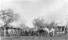 One of the first camps at Mount Isa, 1923 One of the first camps at Mount Isa, 1923.jpg