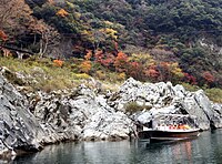 大歩危峡遊覧船 Wikipedia