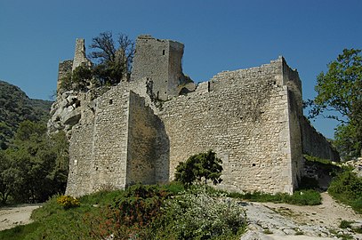 Ruines du château.