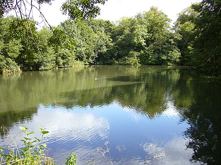 Orchardleigh Lake3