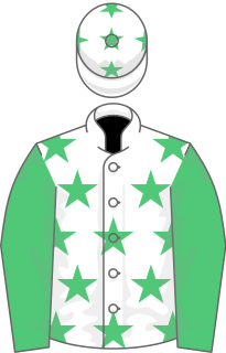 <span class="mw-page-title-main">Twilight Son</span> British-bred Thoroughbred racehorse